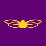Bee better