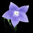 @windflower4755