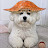 @개인정보보호중