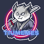 tiuMEMES QUIZ