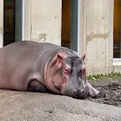 ぶらっと旭山動物園（walk around the Asahiyama zoo）