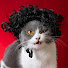 pE60nAX11D0-channel-avatar-PuffPaw