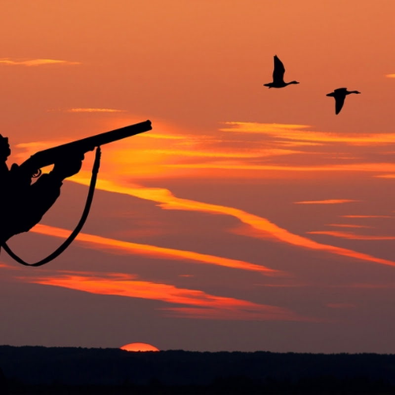 Hunting with Shahzad 