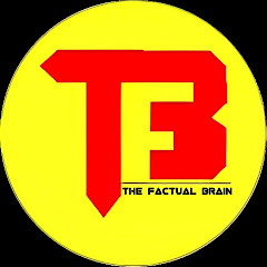 Channel thumbnail for The Factual Brain
