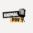 E0ytftxx7_E-channel-avatar-Animal POV