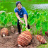 XIflYtonXx4-channel-avatar-An Phu Daily Life