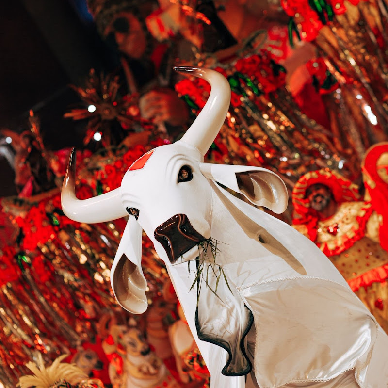 Boi-Bumbá Garantido