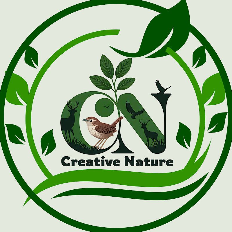 Creative Nature 