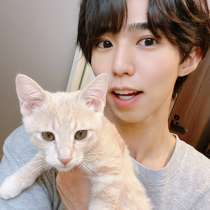 猫とタローのサムネイル