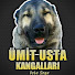 B9TJdDvjAYw-channel-avatar-KANGAL ÜMİT USTA