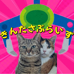 きんたさぷらいず