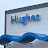 Hughes Honda