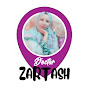 Doctor Zartash logo