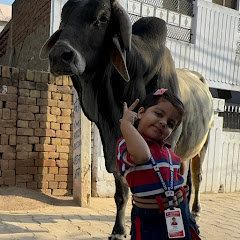 Little Vloger Advi avatar