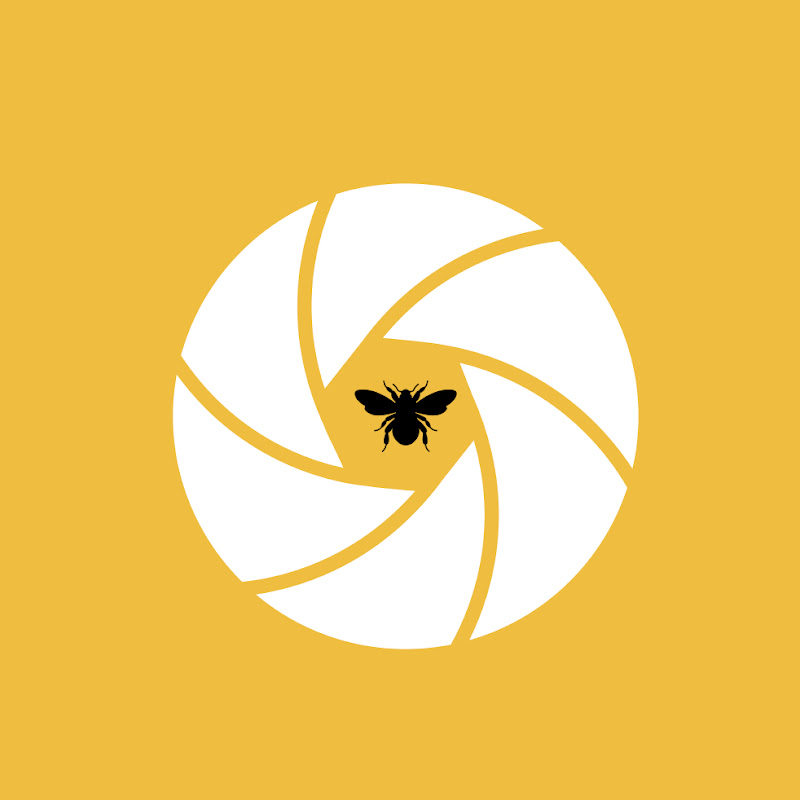 Mr. Bee Roll Productions