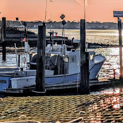Steve Horvath Commercial Fishing