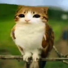 𝐀lex𖦹˙—🎭