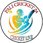 PALI CRICKET 04 logo
