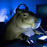 aQ9J4sDc9Io-channel-avatar-Capydowski