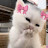 @xbfhjffajhdk6850