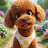 @KJY-w7c