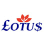 Lotus Debt Management logo