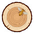 xKXUU7j40Zw-channel-avatar-Wood Hive