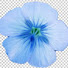 g9vRak42vv8-channel-avatar-PuntoBlu