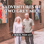 Two Grey Mice