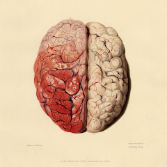 Medicina impreuna
