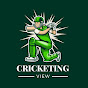 Cricketing View logo