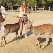 奈良の美しい公園日本 NARA park 🦌🦌 