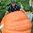The Southern Pumpkin Grower