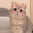 @masahabeb