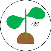 Little Seedlings Sensory