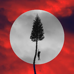 Clash Matnor avatar