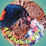 52_9qGSGXrY-channel-avatar-AL FATAH FAMILY Chanel