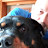 @thomasmeyer6373 Avatar