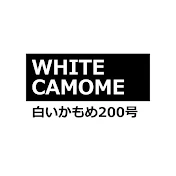 白かも(白いかもめ200号)