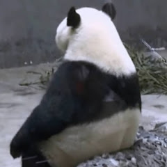 パン打アイコン画像