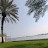 @Rashedahmad-h7h
