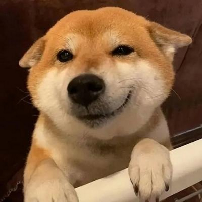 狗子说电影 Logo