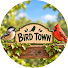 IIvTSd821co-channel-avatar-Bird Town
