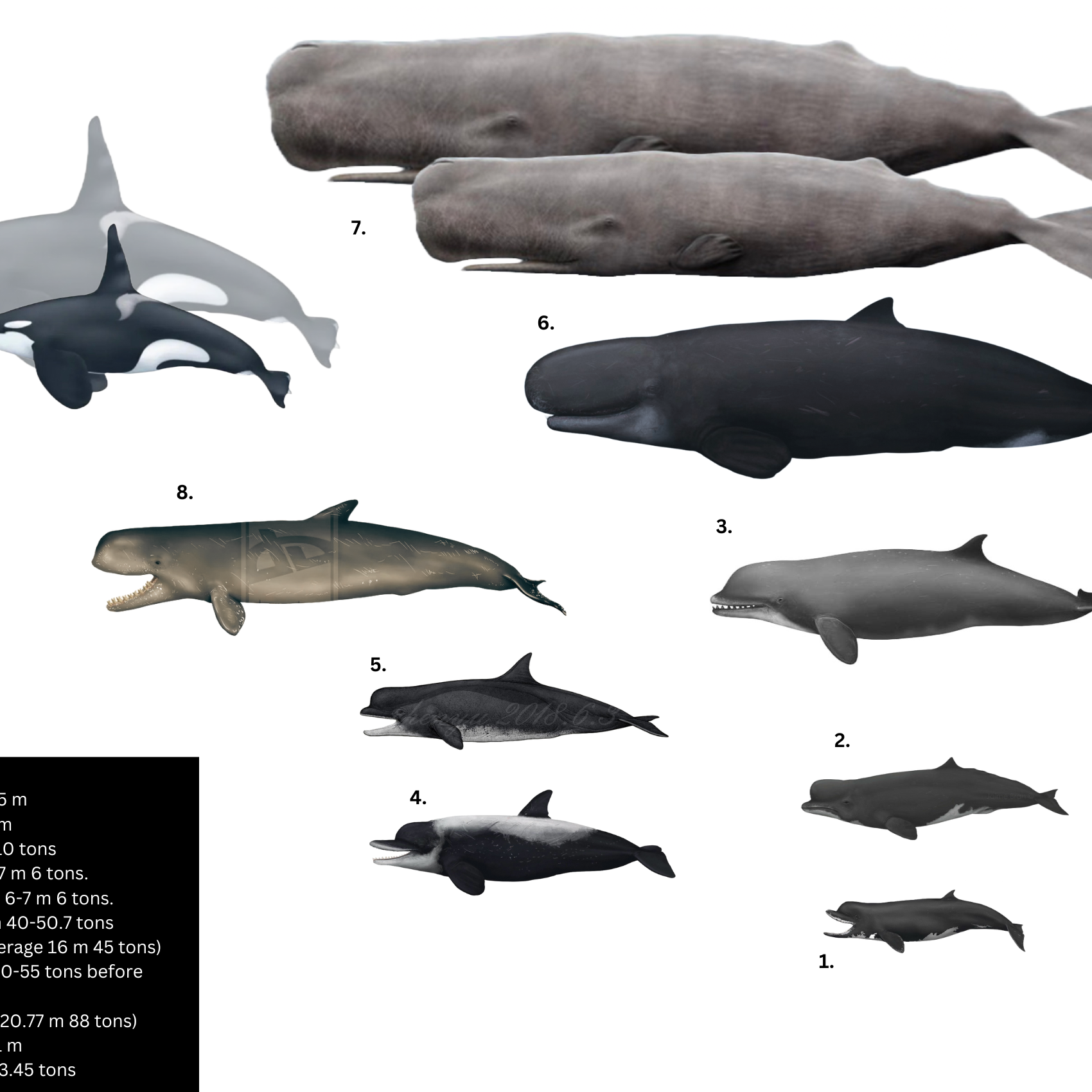 Post from Dizzy Rose