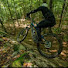 FjYyZ-EqrDU-channel-avatar-New York Nick