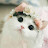 @WalaaMohamed-or6ew