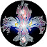 MLjovGRpz1E-channel-avatar-PokePièce 38