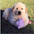 @S행복-z3o