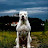 @The_Beast-from.Greece1312