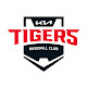 기아타이거즈 KIA TIGERS